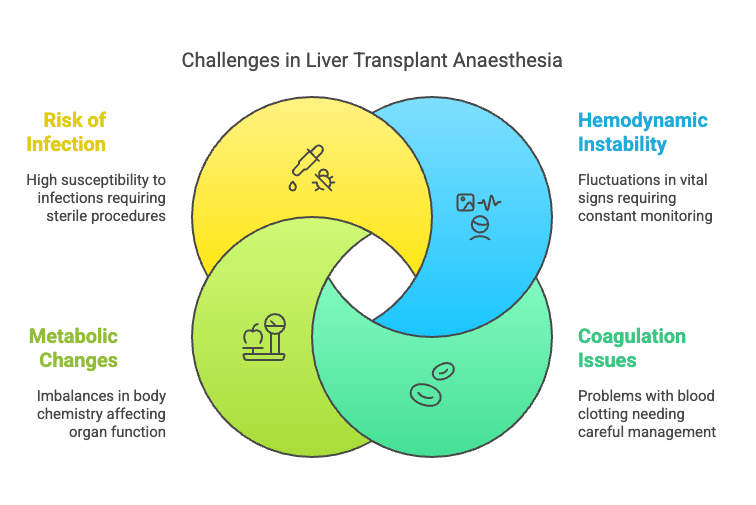 Liver Transplant Anaesthesia