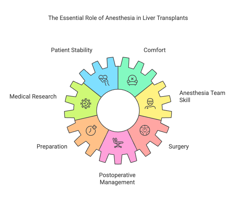 Liver Transplant Anaesthesia