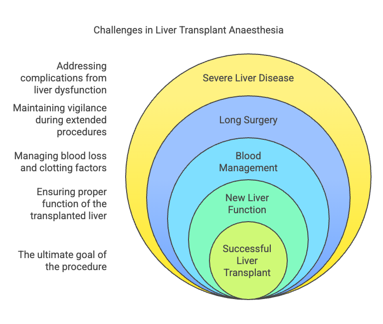 Liver Transplant Anaesthesia