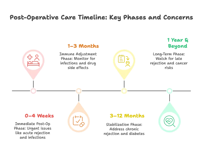 life after liver transplant
