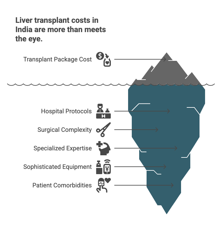 Liver Transplant Cost in India
