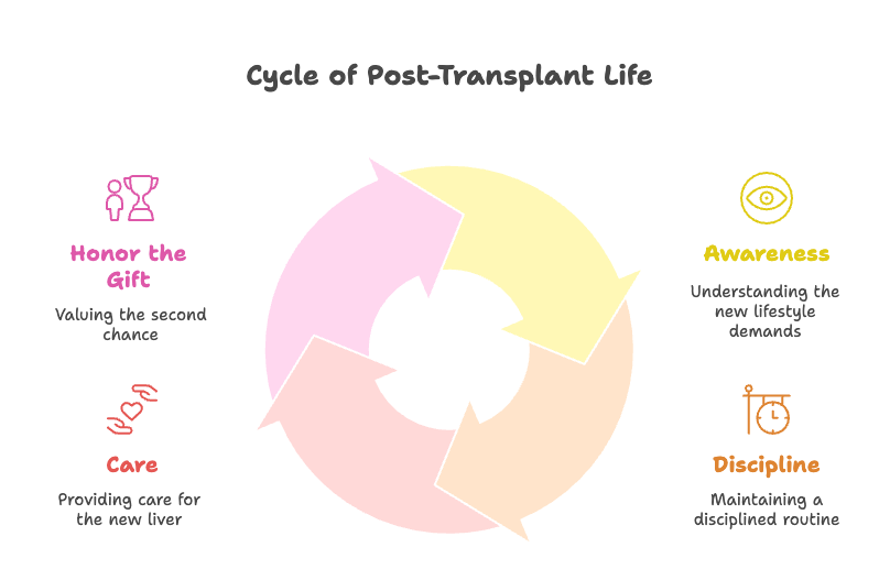 life after liver transplant