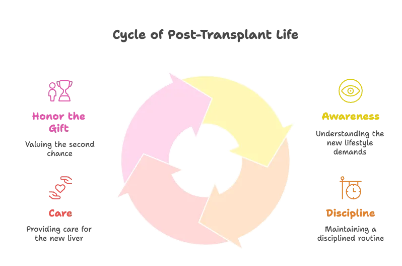 life after liver transplant