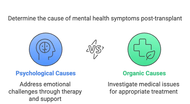 life after liver transplant