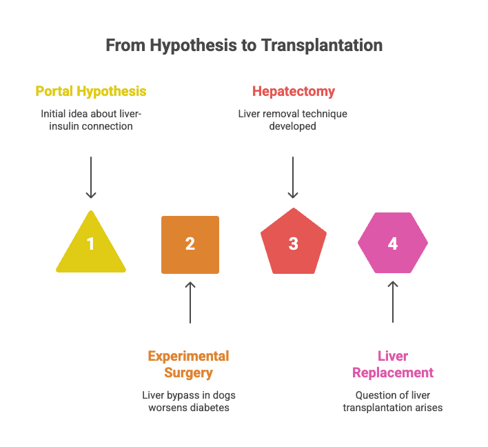 History of Liver Transplantation