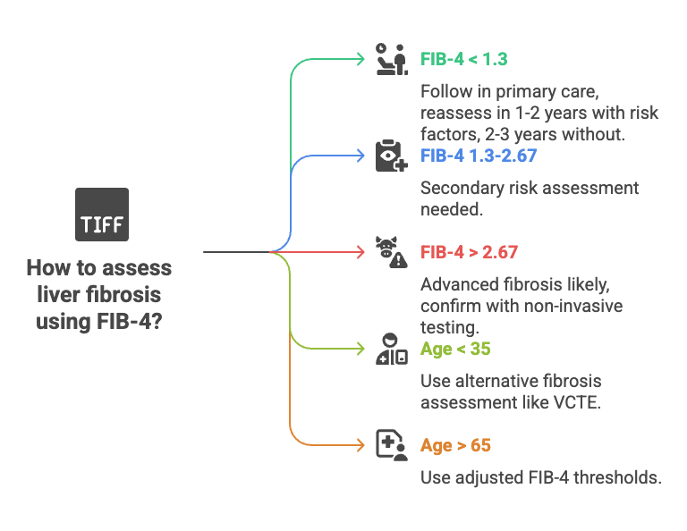 FIB-4 index calculator