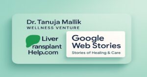 web stories